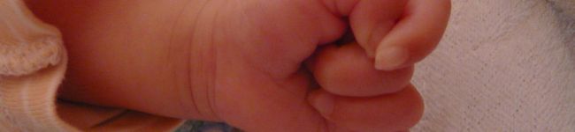 jimjim's header image