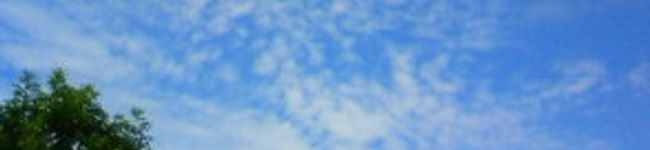 コーヒーたん's header image