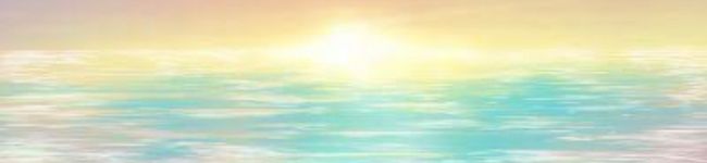 みきみみしし's header image
