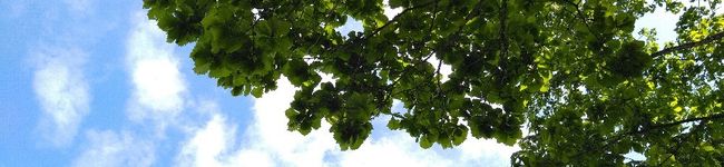クックW6Y4CP☆'s header image