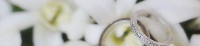 なおちす's header image
