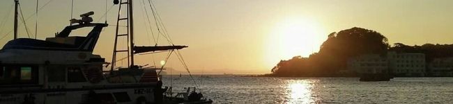 釣り魚食堂's header image