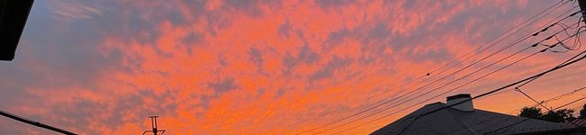 。。ささみ。。's header image