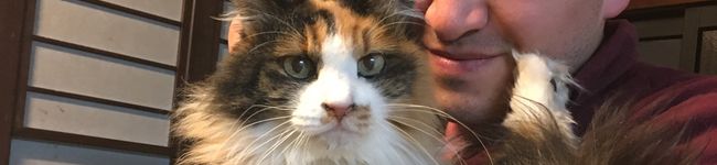 mielita's header image