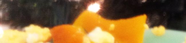 クックVTG02S☆'s header image