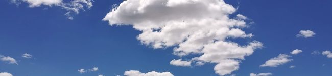TNM_CH's header image