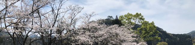 Rinaねーね's header image