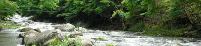 tat＆tom's header image