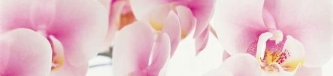 ｋ3258☆'s header image