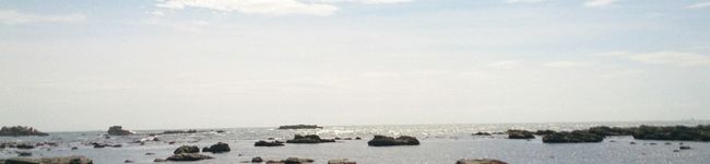alaguma's header image