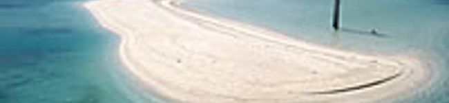 hiiiromiii's header image