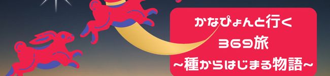 369travel's header image