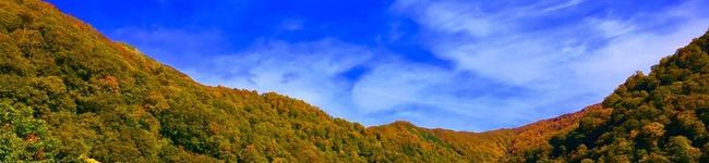 長野県おたり村's header image