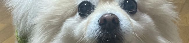ともともぉ's header image