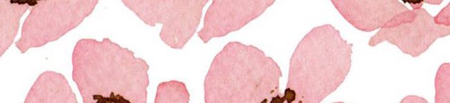 yucandoit's header image