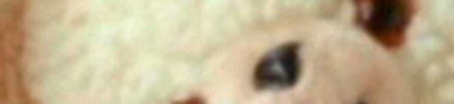 mememimi's header image