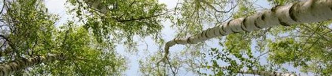 clot's header image