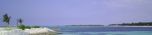 コリフェ's header image