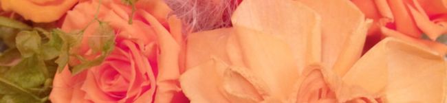 みーとも◎'s header image
