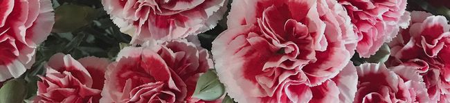 GAMI♡'s header image