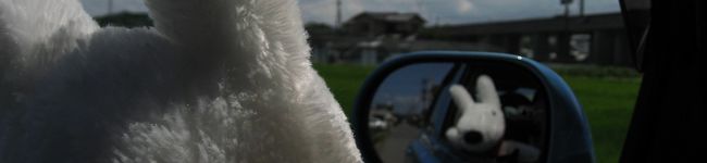 くぎっこりー's header image