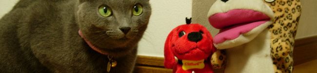 寿さくら's header image