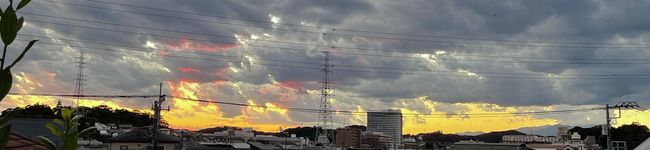 るうやん's header image