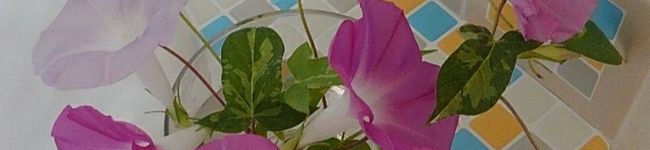 レ❤️ン's header image