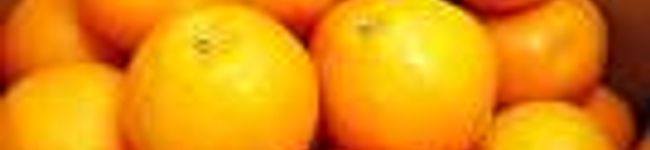 youko115's header image