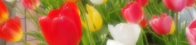 アルなか's header image