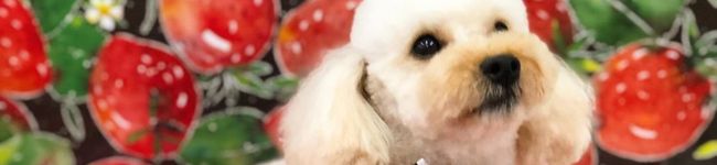 ｋryou's header image