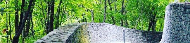 MIKOSUKE♪'s header image