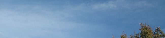 かっぱ兄弟's header image