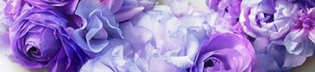 みなごろうさん's header image