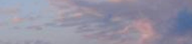 はねっち。's header image