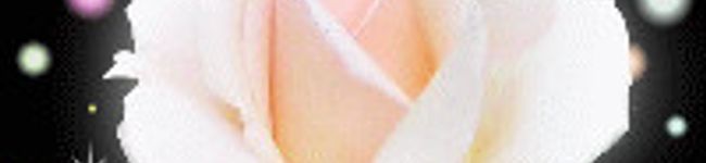 みにれもん's header image