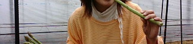 かごっまおごじょ's header image