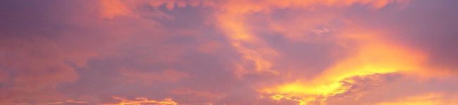 POMAI K's header image