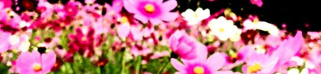 祐ごはん's header image