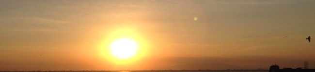 Tabibit's header image