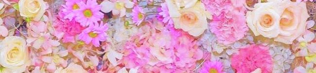 料理苦手ママン's header image