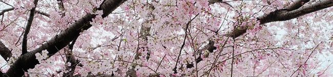 ままちー♡'s header image
