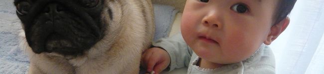 藍ｍａｍａ's header image