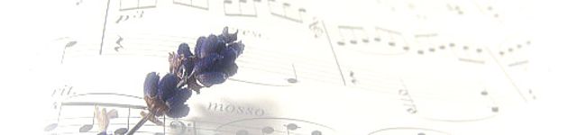rh9231's header image