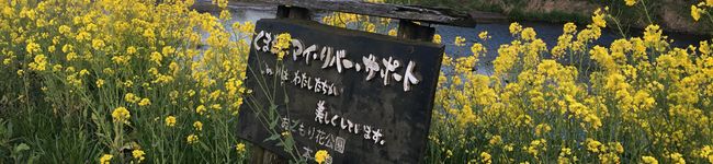 よしみ♡クックキン's header image