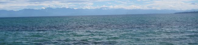 mihoema's header image