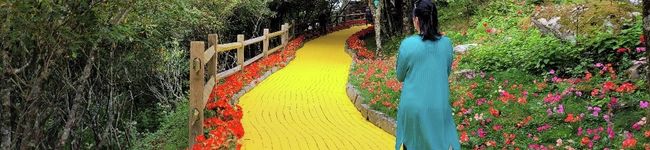 mrsmeg's header image