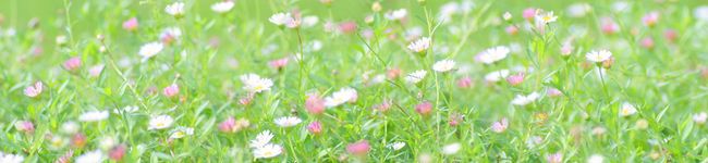 ☆りおん's header image