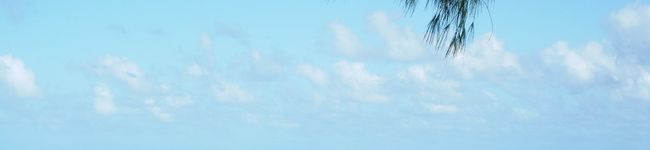 kanacoねーさん's header image