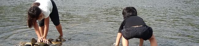 みこひろママ's header image